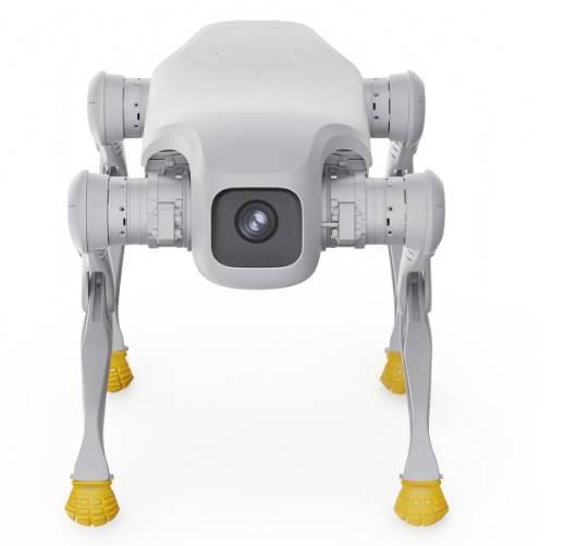 Робот-собака Agibot D1 Edu